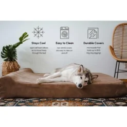 Big Barker 7" Orthopedic Dog Bed - Sleek Edition 16 Big Barker 7" Orthopedic Dog Bed - Sleek Edition -Pet Gizmos Sales GUEST 07e599fe 0e92 445e 99c5 873db58ed590