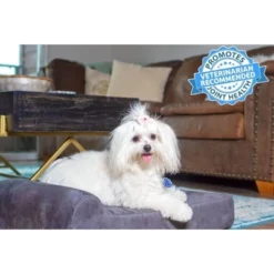 Big Barker Barker Junior 4" Orthopedic Dog Bed -Pet Gizmos Sales GUEST 13db2bbd 8e4f 450f bed6 efd7ba4620bd