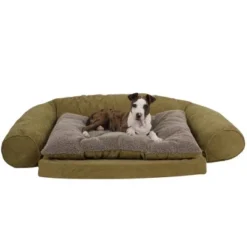 Carolina Pet Company Ortho Sleeper Comfort Couch Dog Bed - Sage 5 Carolina Pet Company Ortho Sleeper Comfort Couch Dog Bed - Sage -Pet Gizmos Sales GUEST 2c6368b7 8a45 4149 bc1a 19c0ec613f25