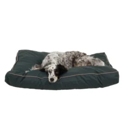 Carolina Pet Company Solid Faux Gusset Jamison Dog Bed - Green 6 Carolina Pet Company Solid Faux Gusset Jamison Dog Bed - Green -Pet Gizmos Sales GUEST 2cf67969 7792 4312 ac5c 546794683bda