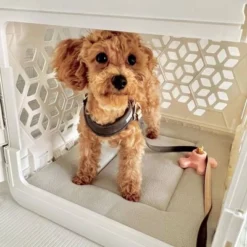 KindTail PAWD Cat and Dog Crate Pad Pink -Pet Gizmos Sales GUEST 31d38dc6 deb8 4d54 8b91 7c98fb0ed620