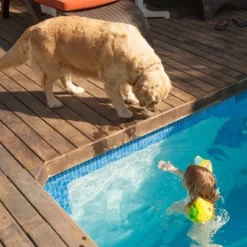 Waterproof Dog Bed - 2-Layer Memory Foam Pet Pad with Removable Machine Wash Cover - 44x35 Crate Mat for Dogs and Puppies by PETMAKER (Brown) -Pet Gizmos Sales GUEST 4aebf53d 92ab 414a a47f 1953133936e5