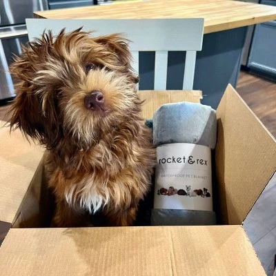 Rocket & Rex rocket & rex Waterproof Pet Throw Blanket - Small - Gray 4 Rocket & Rex rocket & rex Waterproof Pet Throw Blanket - Small - Gray - Image 4