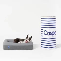 Casper Sleep The Casper Dog Bed Beige -Pet Gizmos Sales GUEST 5dea227e fa96 4271 9afd 21203081a94d