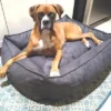 BuddyRest Oasis Plush Pillow Dog Bed
