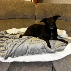 Kritter Planet Waterproof Blanket for Dogs, Washable Furniture Protector, Reversible High Pile Fleece Couch Cover for Small Medium Large Pets -Pet Gizmos Sales GUEST 6c41ab38 4795 4646 8628 01dc963fd5a6