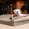 BuddyRest Crown Supreme Memory Foam Dog Bed