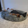 PAW BRANDS PupCloud Human-Size Faux Fur Memory Foam Dog Bed