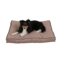 Carolina Pet Company Solid Faux Gusset Jamison Dog Bed - Tan -Pet Gizmos Sales GUEST 7d368c26 80a0 4c77 8fa3 417ee2bf4639