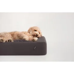 Dog Bed with Removable Cushion - Tuft & Needle Cove Blue -Pet Gizmos Sales GUEST 8224c9bb eeab 4d85 bb9d 5c3dd82f2e4d