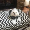 Majestic Pet Chevron Rectangle Dog Bed Black