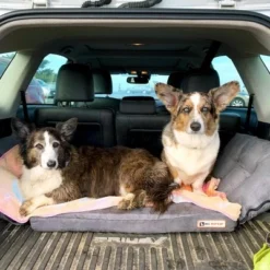 Big Barker Backseat Barker: SUV Edition -Pet Gizmos Sales GUEST 9c967c63 00fb 4010 85df 8fd55554bd12