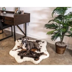 Paw Brands PupRug Animal Print Memory Foam Dog Bed -Pet Gizmos Sales GUEST bb866475 3817 42af aa4e 6cfe218e4907