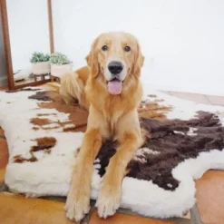 Paw Brands PupRug Animal Print Memory Foam Dog Bed -Pet Gizmos Sales GUEST c1b49e5c 063e 4f87 91bf 23c29831a28d