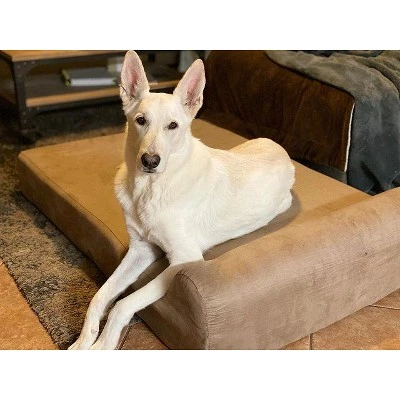 Big Barker 7" Orthopedic Dog Bed - Headrest Edition 5 Big Barker 7" Orthopedic Dog Bed - Headrest Edition - Image 5