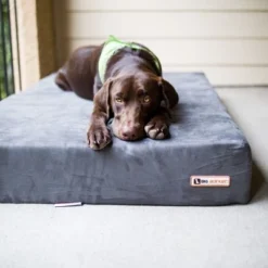 Big Barker 7" Orthopedic Dog Bed - Sleek Edition 12 Big Barker 7" Orthopedic Dog Bed - Sleek Edition -Pet Gizmos Sales GUEST dce64019 ee66 4588 baae 377181638871