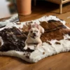 Paw Brands PupRug Animal Print Memory Foam Dog Bed