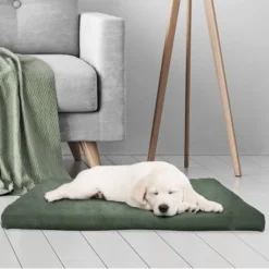 Petmaker 3" Foam Dog Bed - 25.5"x19" - Forest 5 Petmaker 3" Foam Dog Bed - 25.5"x19" - Forest -Pet Gizmos Sales GUEST e336c174 ea84 4af3 8874 1cf664e296e8