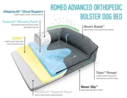 BuddyRest Romeo Advanced Orthopedic Bolster Dog Bed -Pet Gizmos Sales GUEST f244fdd1 5d4e 46fc 8f9b 5f9997f73fa1