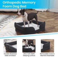 Merrick Lane Cozy Orthopedic Joint Relief Memory Foam Bolster Dog Bed, Removable, Washable Cover, Non-Slip Bottom -Pet Gizmos Sales GUEST f51807eb 2a5e 49dc 8b2d 0451f21c8495