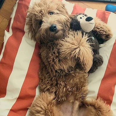 Majestic Pet Vertical Stripe Rectangle Dog Bed Sage 2 Majestic Pet Vertical Stripe Rectangle Dog Bed Sage - Image 2