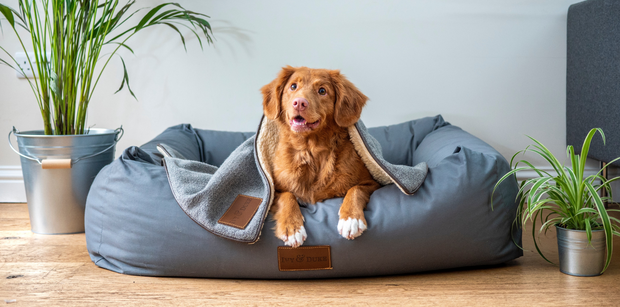 Pet Gizmos Sales 10 Pet Gizmos Sales -Pet Gizmos Sales 11 shopify pet stores leading the pack